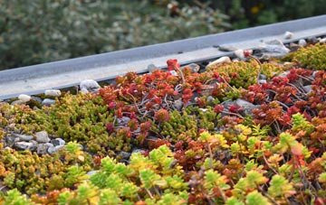 the cost of Nun Monkton green roof installation